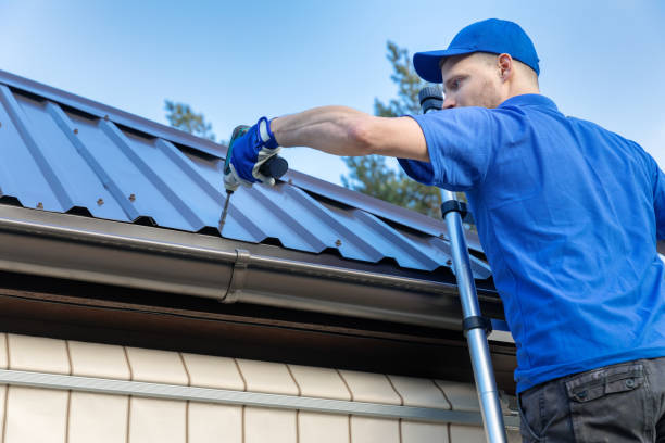Best Sheet Metal Roofing  in Hampshire, IL