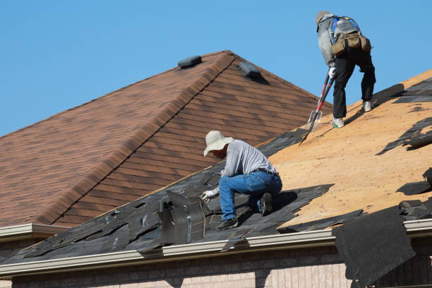 Best Roof Installation  in Hampshire, IL