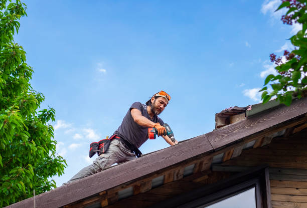 Best Roof Ventilation Installation  in Hampshire, IL