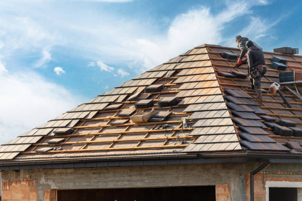 Best Metal Roofing Installation  in Hampshire, IL